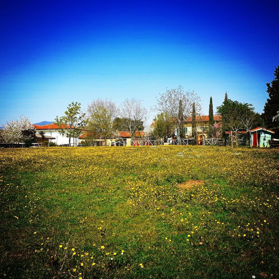 Cascina Corteprimavera, B&B Del Baliot Passirano Exteriér fotografie