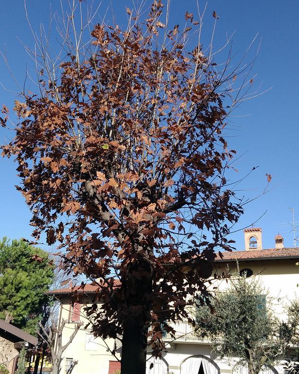 Cascina Corteprimavera, B&B Del Baliot Passirano Exteriér fotografie