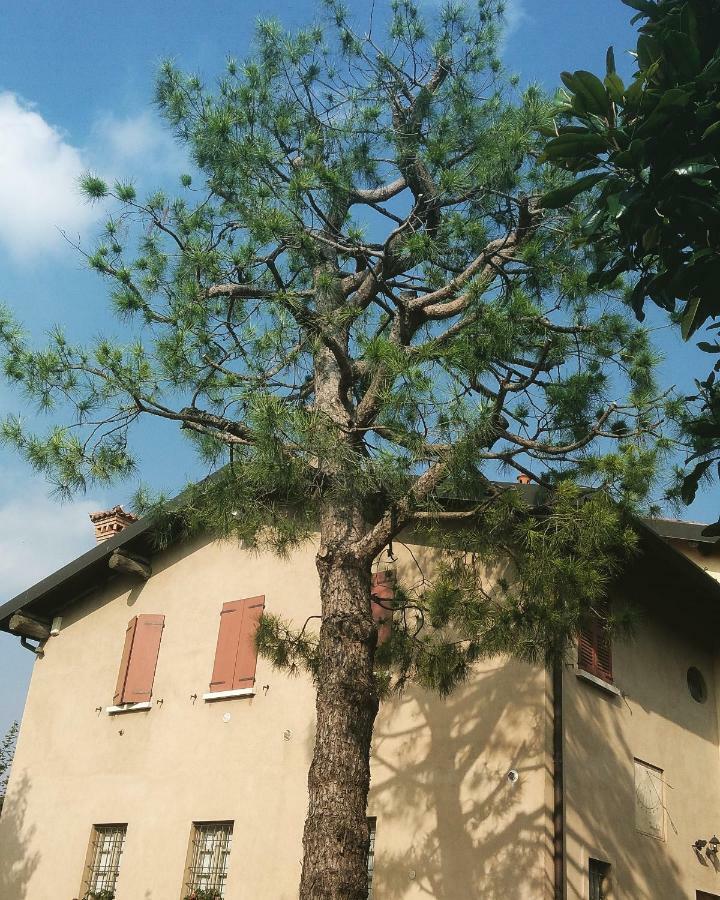 Cascina Corteprimavera, B&B Del Baliot Passirano Exteriér fotografie
